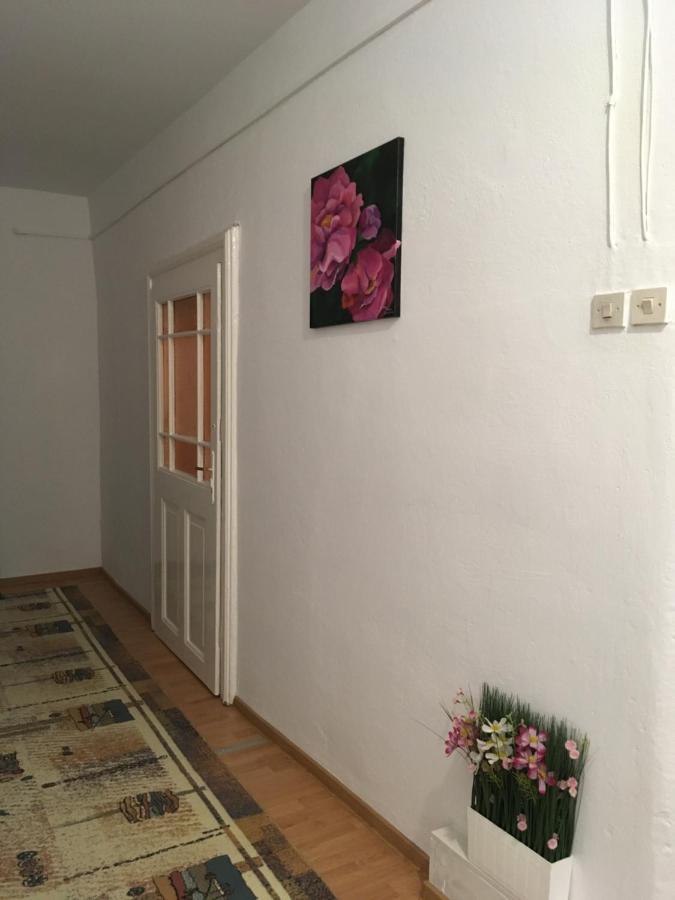 House Centrul Istoric Ll Daire Sibiu Dış mekan fotoğraf